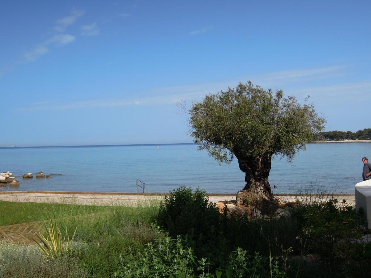 Stella Maris Appartement Umag Ngoại thất bức ảnh